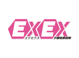 EXEX少額短期保険